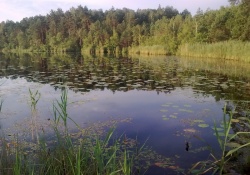 Озеро Сомине - 527
