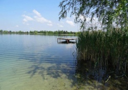 озеро Задорожнє - 510